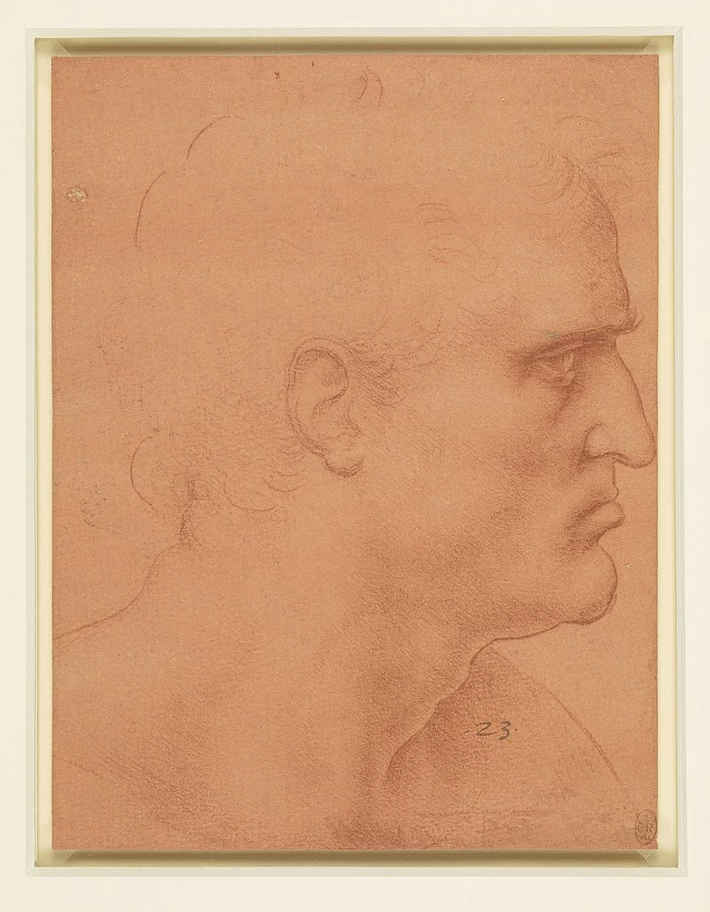 91-studio di uomo, testa di san Bartolomeo
